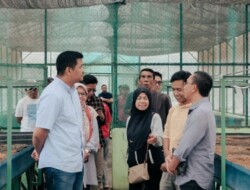 Uji Nurdin Bakal Jadikan Bantaeng Swasembada Pangan