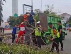 Pohon tumbang timpa jamaah Shalat Id di Pemalang, dua orang tewas