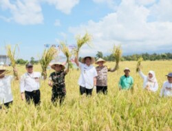 Bupati Bantaeng Ikuti Panen Raya Padi Serentak Bersama Presiden Prabowo
