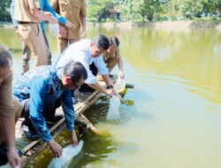 Bupati Bantaeng Luncurkan Program Pembudidayaan Ikan Bandeng di Pantai Marina