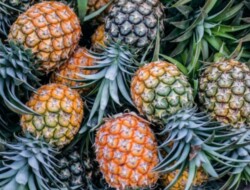 Nanas: Buah Sehat yang Bisa Menjadi Berbahaya jika Dikonsumsi Berlebihan