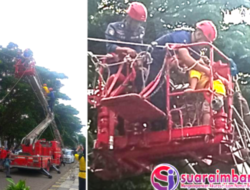 Peringati HUT Kota Makassar ke 418, Damkar Buat Atraksi Begini