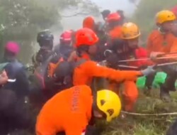 Tim SAR Temukan 6 Korban Pesawat di Medan Ekstrem