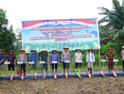 Kapolda Sulsel Pimpin Penanaman Jagung, Wujudkan Swasembada Pangan