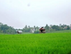 Bantaeng Tembus 10 Besar Ketahanan Pangan Nasional Bapanas