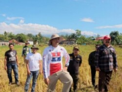 Bupati Termuda Sulsel Tinjau Sawah Cegah Gagal Panen