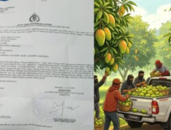 Lapor Dugaan Pencurian Mangga, Waldi Minta Proses Hingga Pengadilan